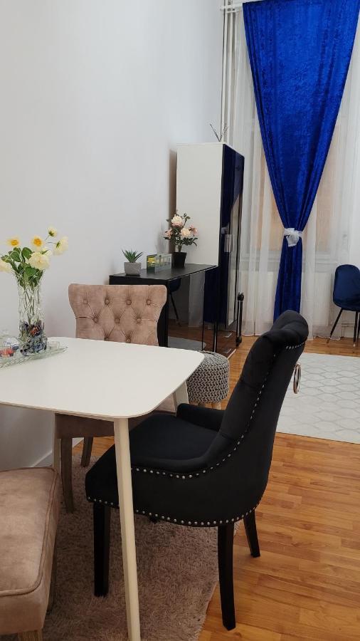 Opera Victoriei Residence - Ultracentral Cozy Accommodation Timişoara Buitenkant foto