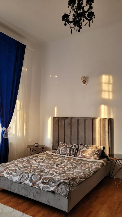 Opera Victoriei Residence - Ultracentral Cozy Accommodation Timişoara Buitenkant foto