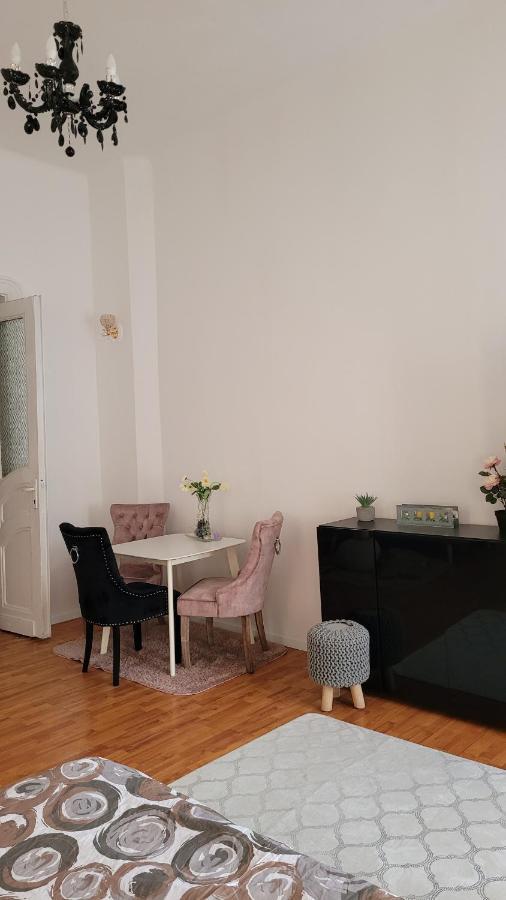 Opera Victoriei Residence - Ultracentral Cozy Accommodation Timişoara Buitenkant foto