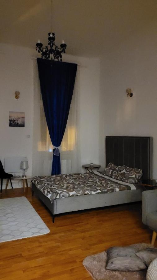 Opera Victoriei Residence - Ultracentral Cozy Accommodation Timişoara Buitenkant foto