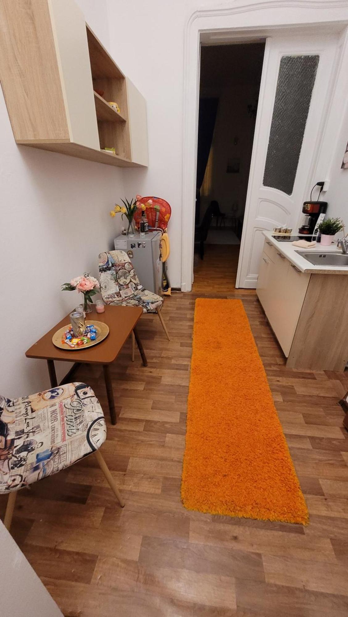 Opera Victoriei Residence - Ultracentral Cozy Accommodation Timişoara Kamer foto